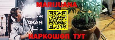 прущие грибы Северобайкальск