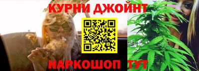 прущие грибы Северобайкальск