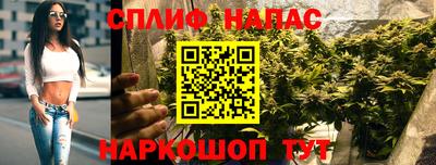 прущие грибы Северобайкальск