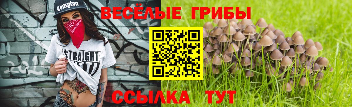 Псилоцибиновые грибы Psilocybe  Галлюциногенные грибы MAGIC MUSHROOMS  Вход с VPN  Подольск 